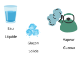Je peux nommer les états de l'eau (liquide, solide, vapeur) et les reconnaître.