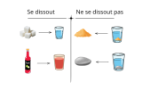 Je peux tester et classer des solides selon qu'ils se dissolvent ou non dans l'eau.