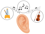 Je peux écouter une œuvre et identifier des éléments musicaux (rythme, nuances, instruments…).